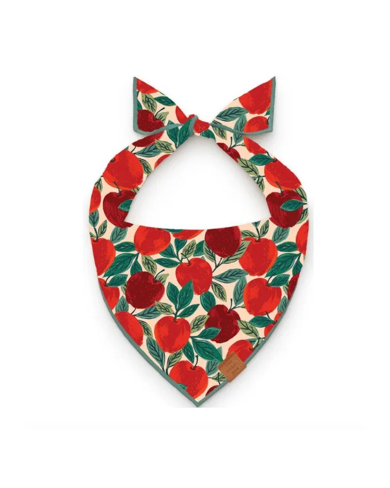 Apple of My Eye Dog Bandana (Made in the USA) (FINAL SALE) - Image 2