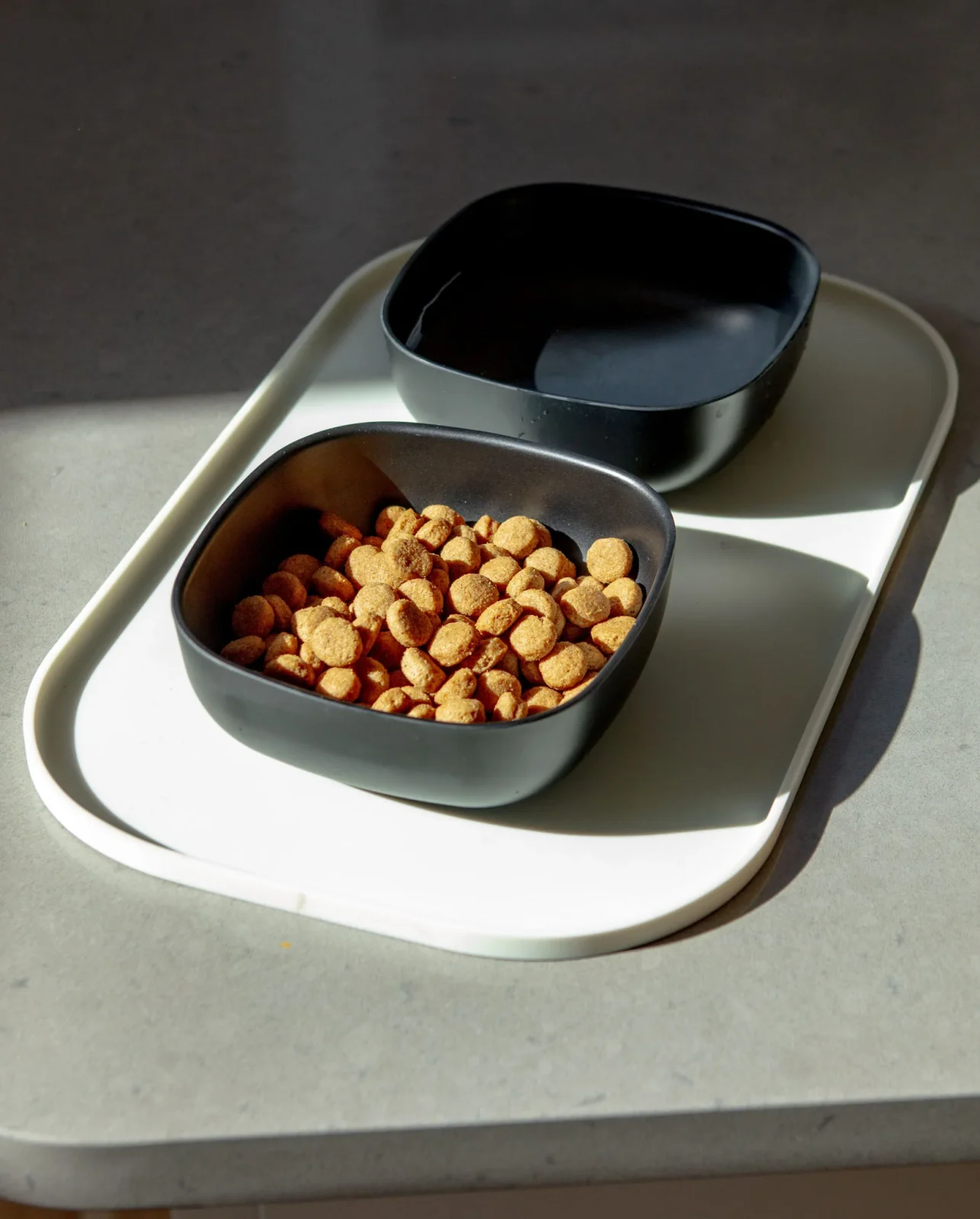 Basic Dog Placemat in Dove Grey - Image 2