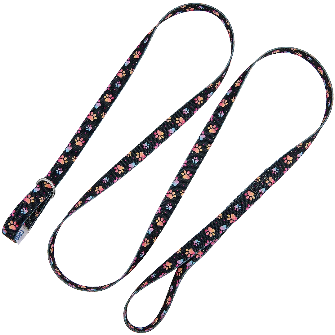 5ft Slip-Lead Leash Pretty Paws by Groom Loop