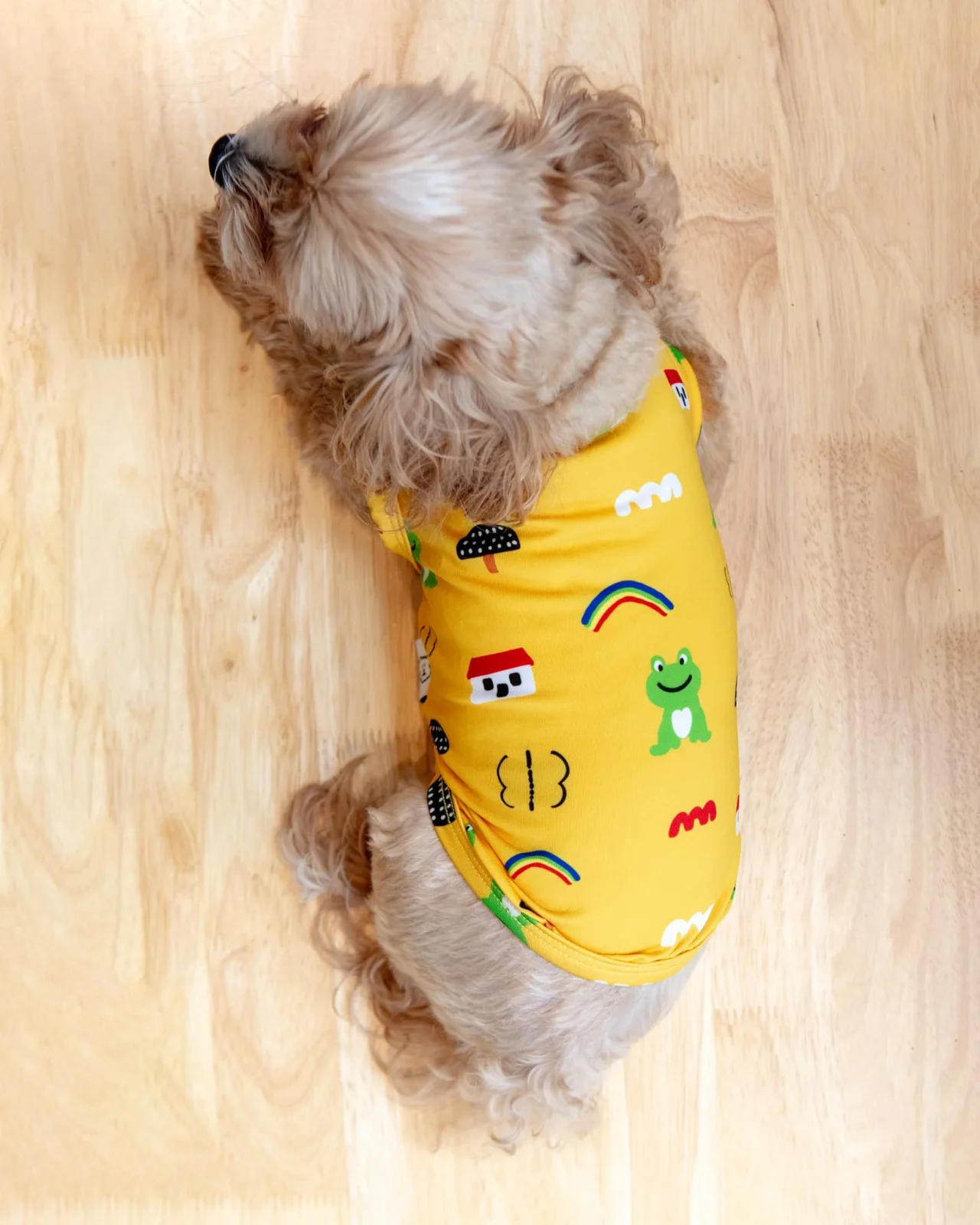 Froggy Friend Dog Cooling Tee (FINAL SALE)