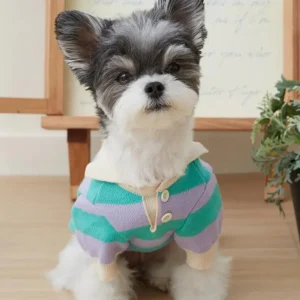 Striped Rugby Knit Dog Sweater (FINAL SALE)