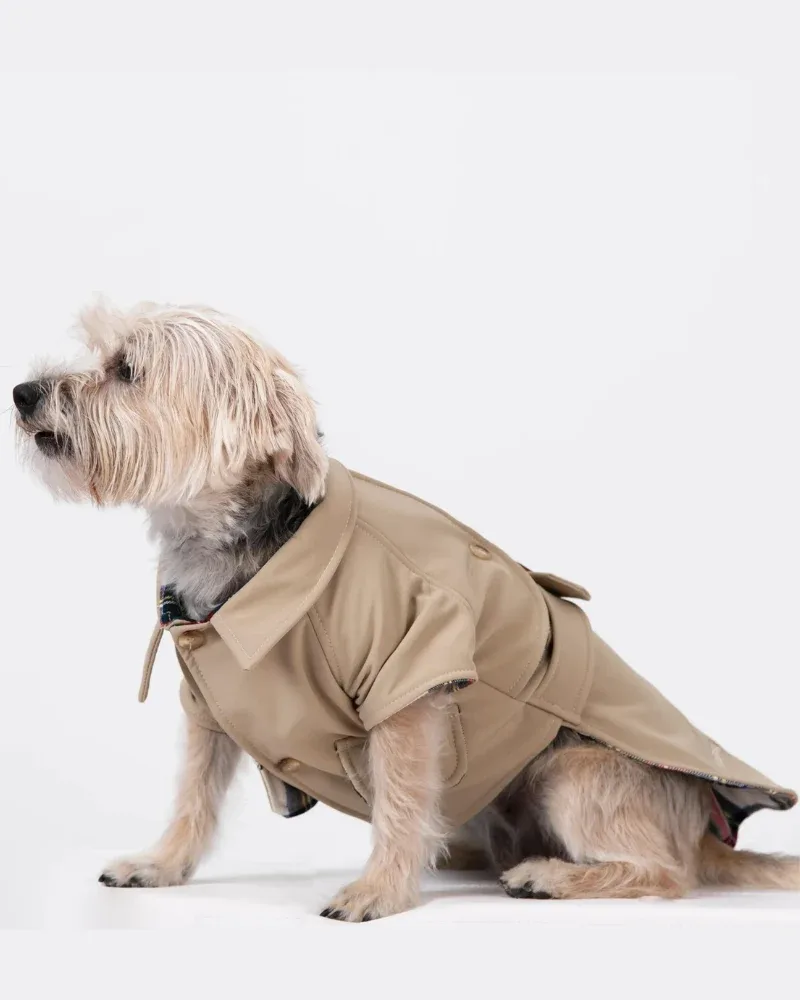 Frankie Dog Trench Coat (Made in Spain) (FINAL SALE) - Image 2