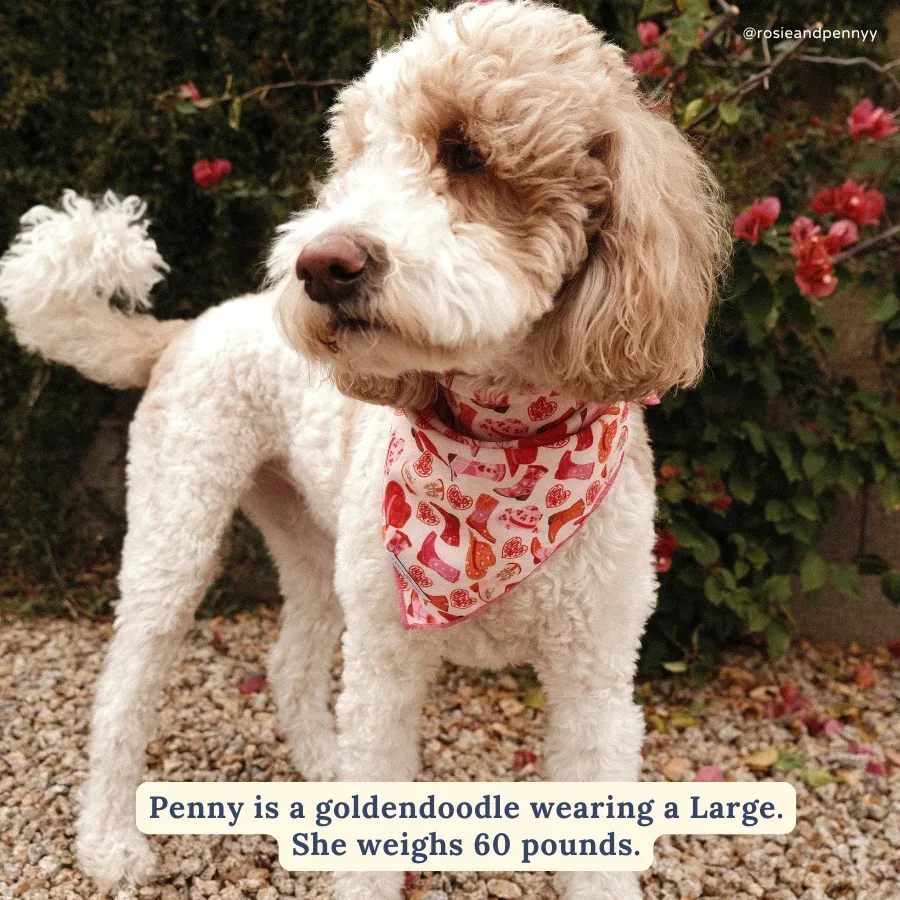 Howdy, Honey Bandana - Image 2