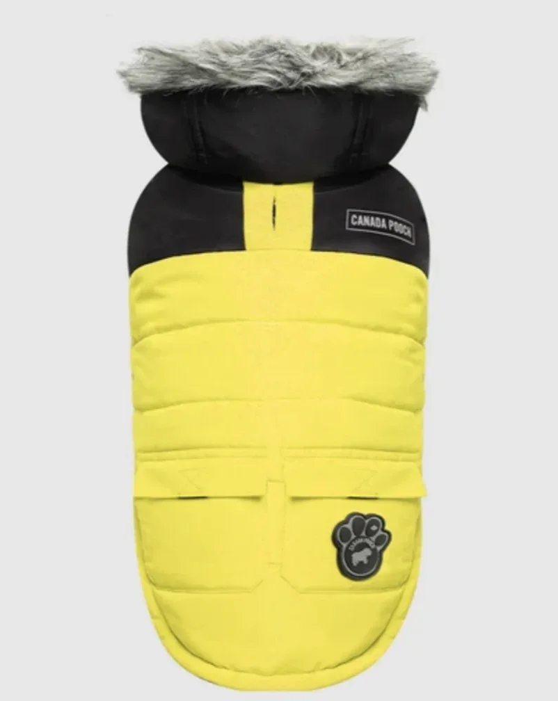 True North Dog Parka in Yellow (FINAL SALE)
