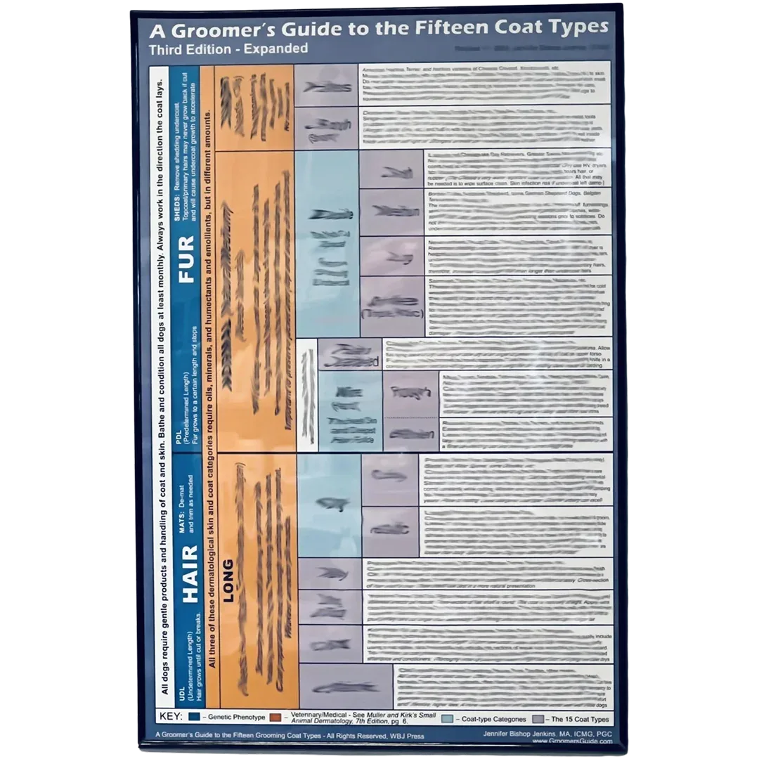 15 Coat Types Poster 24"x36" by Jennifer Bishop Jenkins