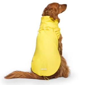 2-In-1 Dog Harness Raincoat in Yellow