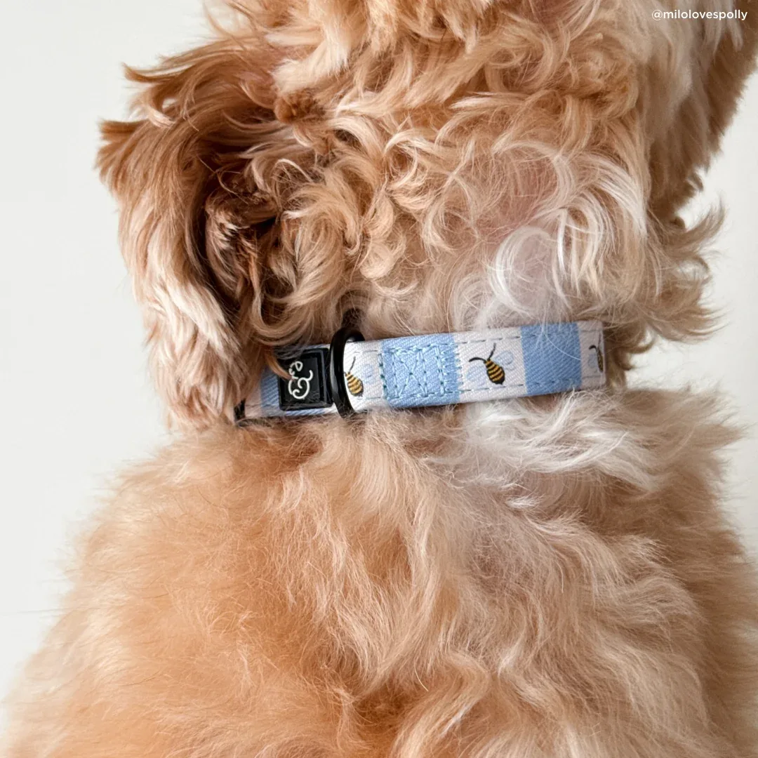 Bumbling Around Collar - Image 2
