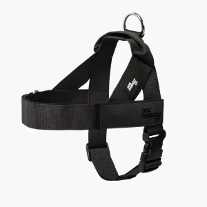 Personalised Dog Harness