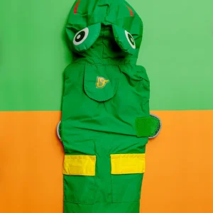 Frog Raincoat in Green