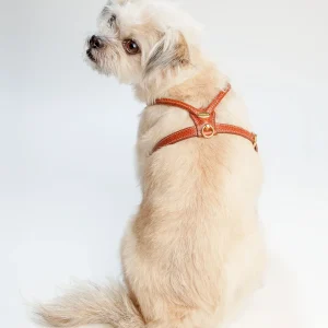 Italian Leather Dog Harness in Luggage Brown