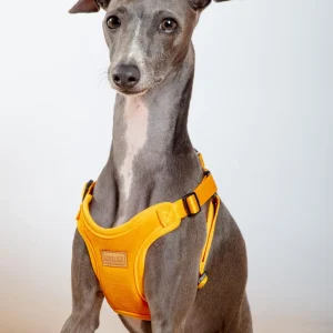 Comfort Dog Harness in Yellow