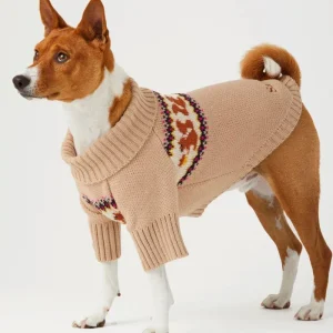 Squirrel Knit Dog Sweater (FINAL SALE)