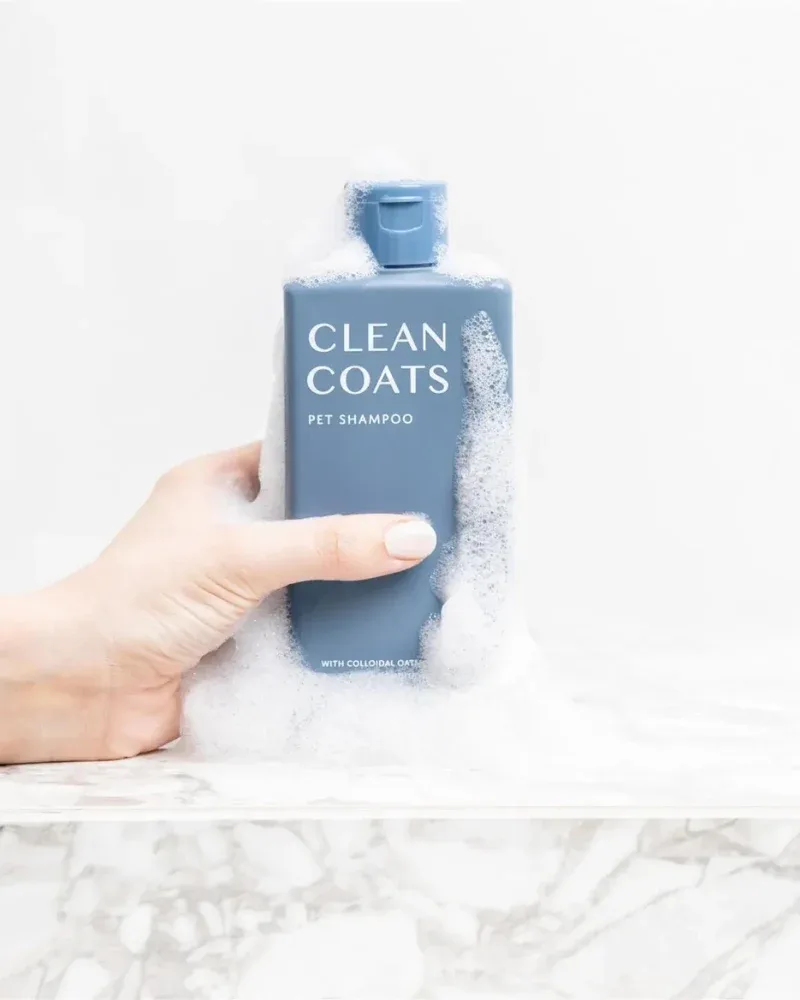 Sensitive Dog Shampoo (Fragrance Free) (FINAL SALE) - Image 2