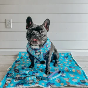 Pet Blanket - STAR WARS™ The Mandalorian™