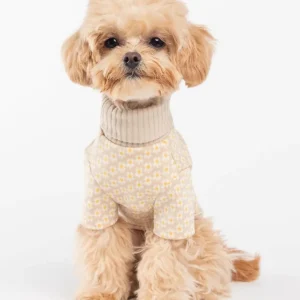 Flower Pattern Dog Knit Sweater in Soft Beige (FINAL SALE)