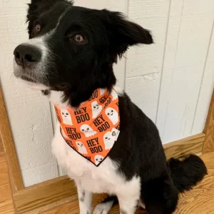 Hey Boo Halloween Dog Bandana(Made in the USA)