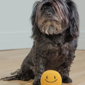 Smiley Face Dog Knit Squeaker Toy in Yellow