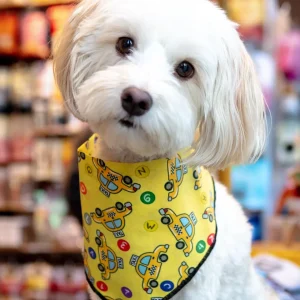Beep Beep NYC Dog Bandana (Made in NYC)