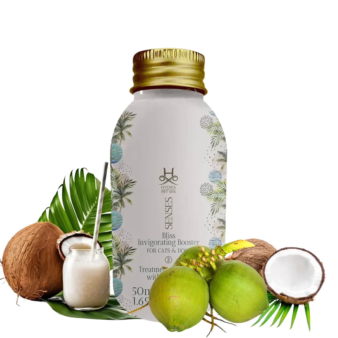 Senses Bliss Fortifying Conditioner Booster by Hydra - Image 2