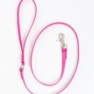 A Walk in the Park Dog Leash in Magenta Pink (Made in the USA)