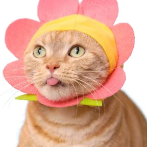 Flower Cap for Cats (Surprise Box)