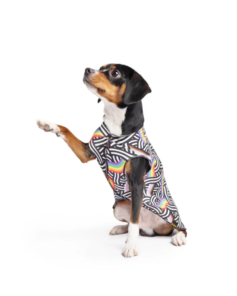 Sun Shield Tee in Rainbow Pride Print (Made in the USA) (FINAL SALE) - Image 2
