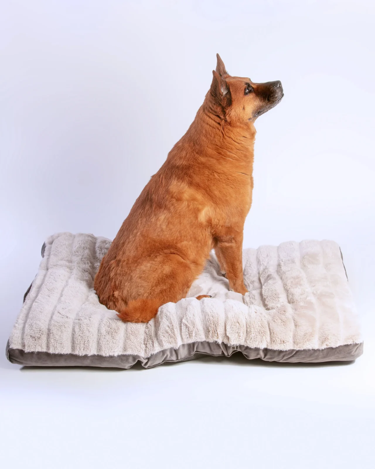 Dutch Velvet & Plush Essential Mat in Grey <>