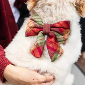 Orchard Plaid Flannel Lady Dog Bow Tie (Made in the USA)