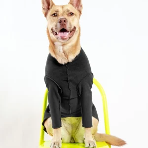 Long-Sleeve Pullover Stretch Dog Fleece in Black (Made in the USA, Dog & Co. Exclusive!)