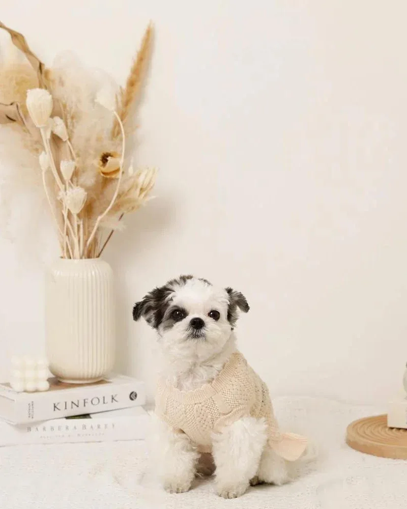 Floral Knit Dog Dress - Image 2