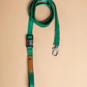 Adjustable Easy Dog Leash in Green