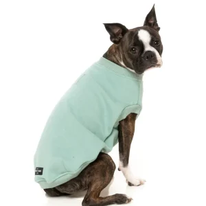 All Day Sweatshirt in Mint (FINAL SALE)