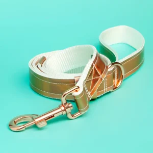 Unicorn Shimmer Vegan Leather Dog Leash (FINAL SALE)