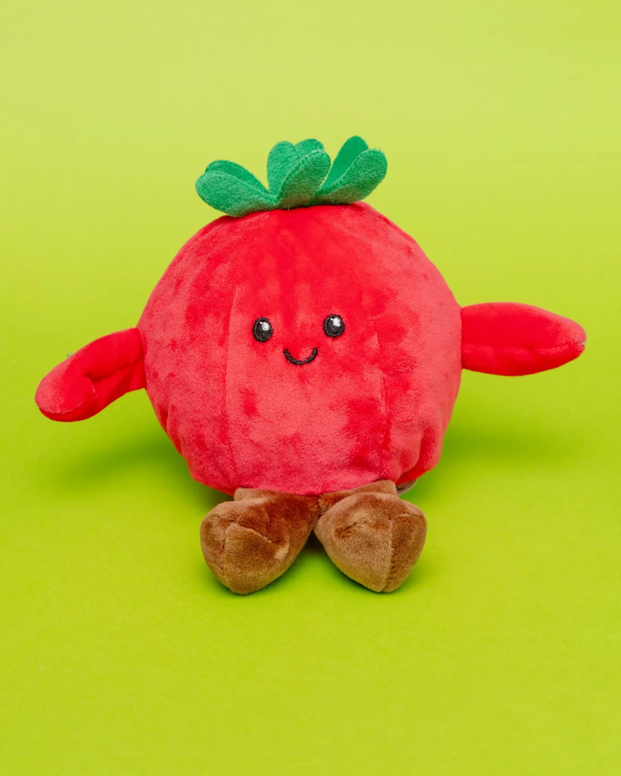 Tommy the Tomato Squeaker Ball Dog Toy (5")