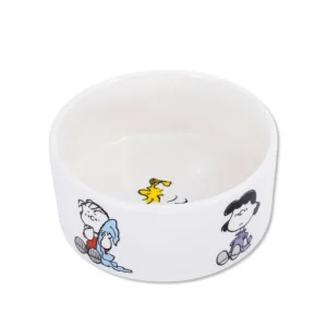 Peanuts Classic Dog Bowl