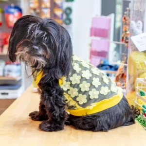 Flower Mesh Dog Shirt (Made in the USA)