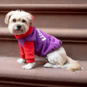 The Little Beast Hoodie for Dogs