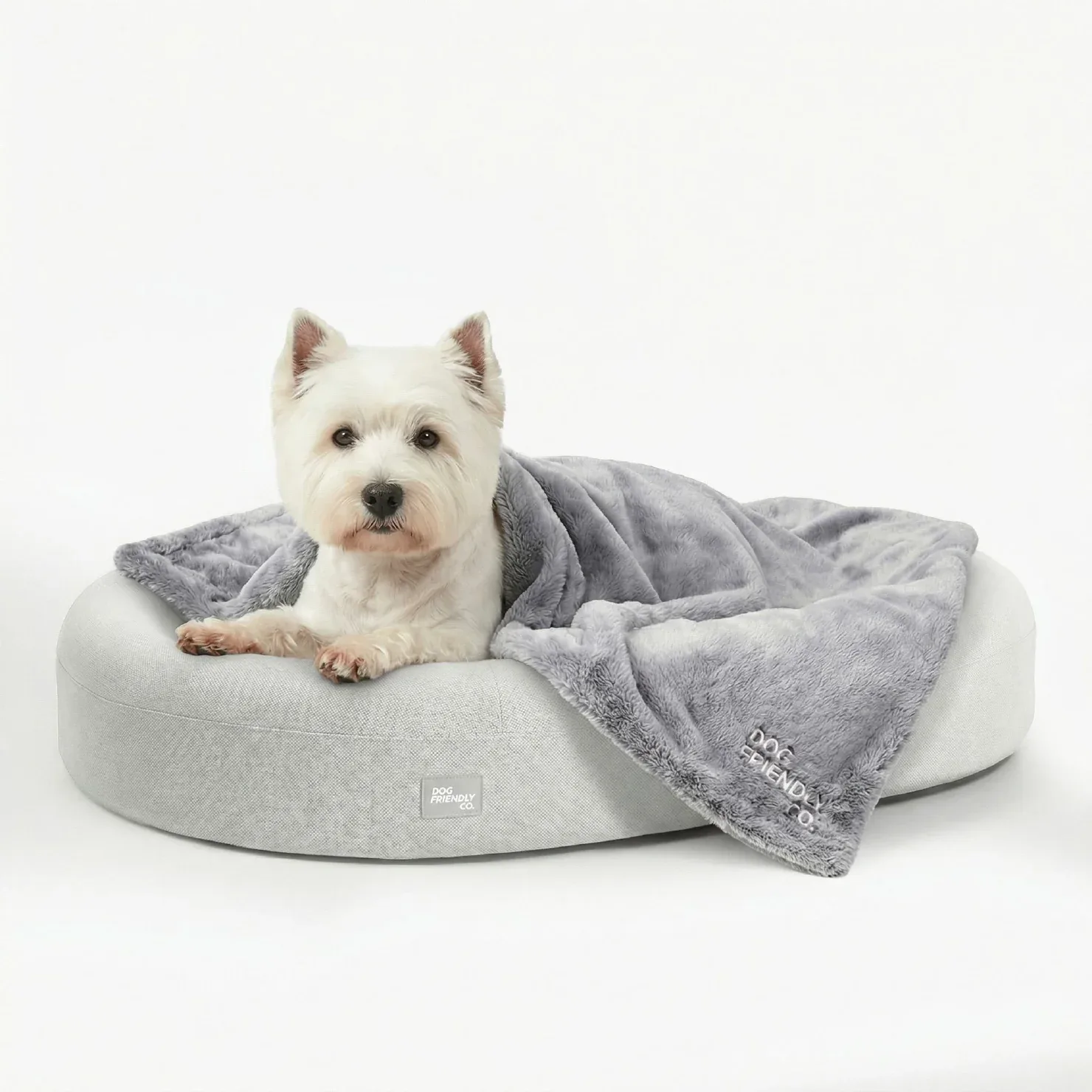 Chill Pill Memory Foam Dog Bed - Grey (Small) - Image 2