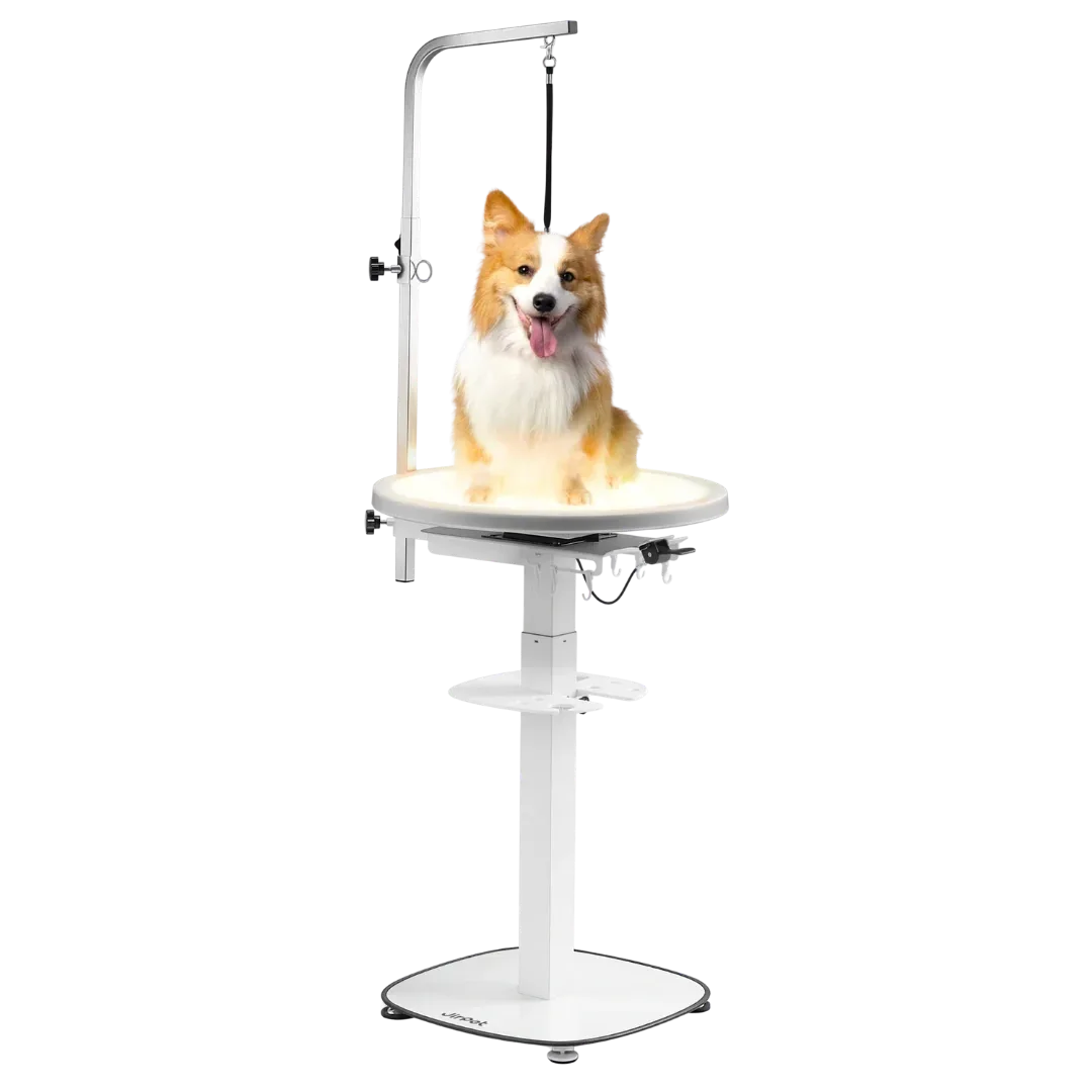Revolve360 Hydraulic 360° Rotating Grooming Table with Tabletop Light by Jirpet - Image 2