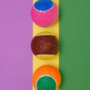 Go Get the Ball! Dog Toy (3-Pack)