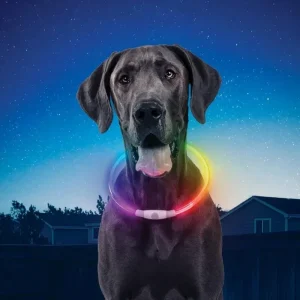 NITEHOWL® Rechargeable Led Safety Dog Necklace