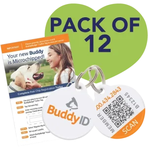 Box of 12 BuddyBadge Collar Tags with Registration by BuddyID