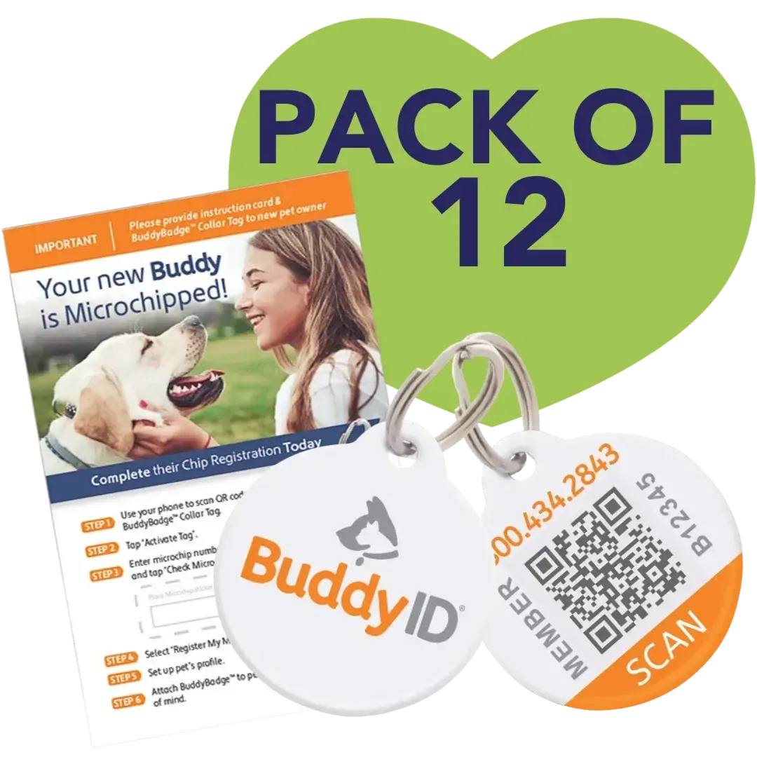 Box of 12 BuddyBadge Collar Tags with Registration by BuddyID
