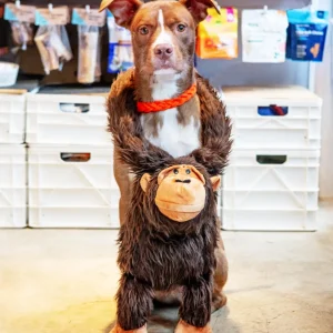 Gorilla Lou Plush Squeaky Dog Toy (33")