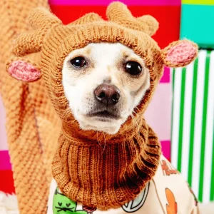 Reindeer Knit Hat for Dogs (FINAL SALE)