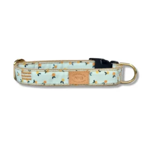 Clementine Dog Collar (Made in the USA)