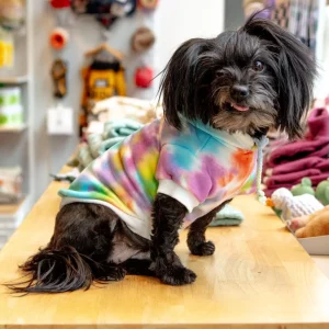 Tie Dye Dog Hoodie in Pastel Rainbow (FINAL SALE)