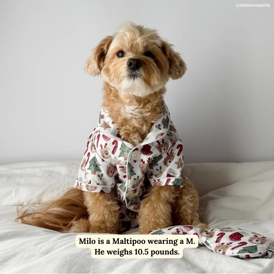 Jingle Bells Pajamas + Human Eye Pillow - Image 2