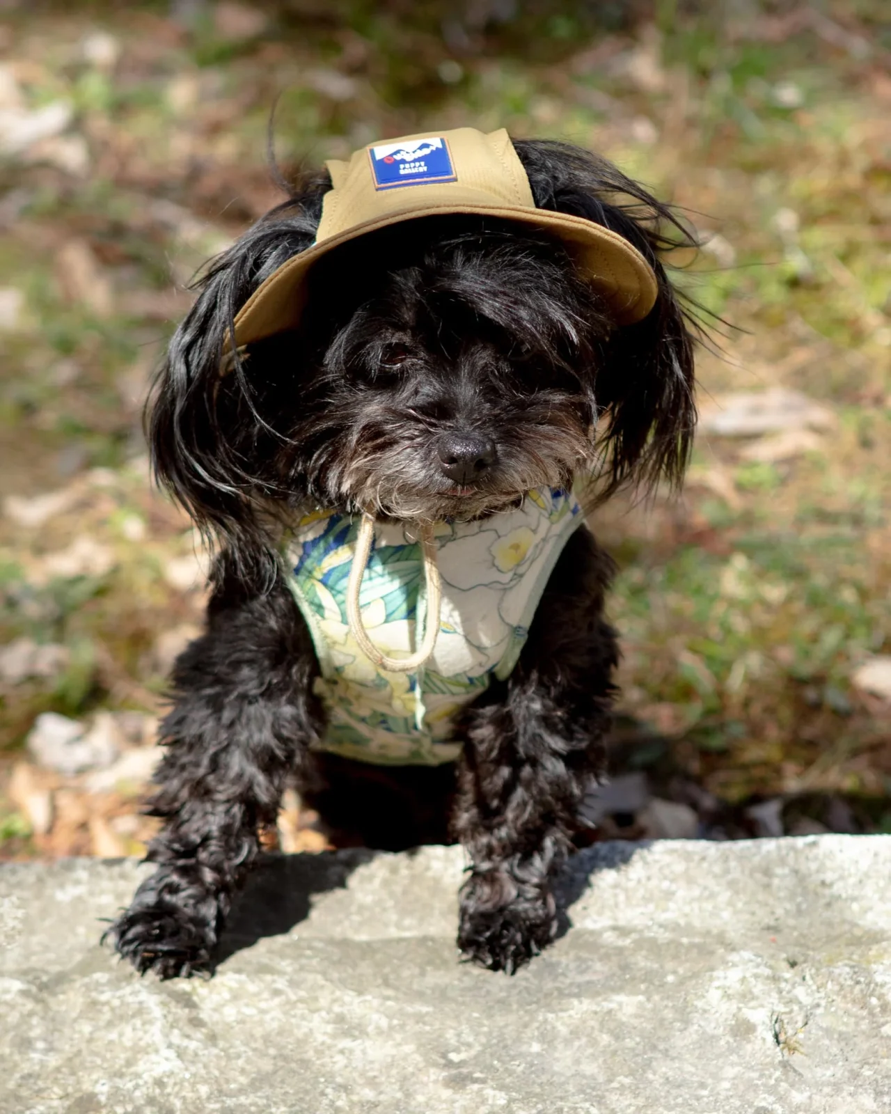 Outside+ Cooling Bucket Hat in Tan (FINAL SALE) - Image 2