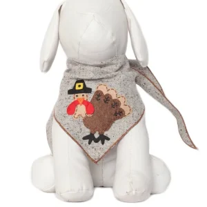 Tom the Turkey Thanksgiving Dog Bandana